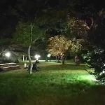 La Xungueira 2*