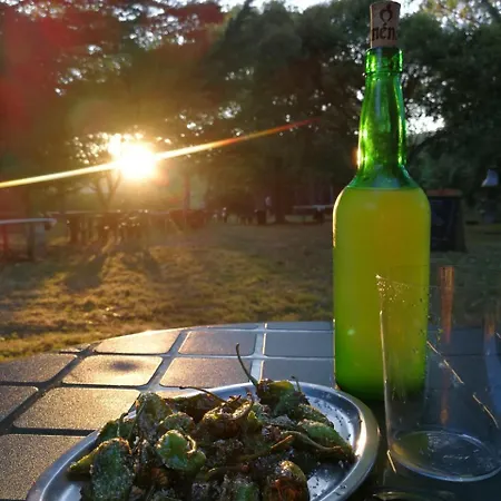 酒店 La Xungueira 塔皮亚德卡萨列戈